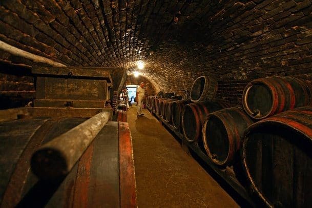 Slika preuzeta s: Facebook, Podrumi Cocic; URL: https://www.facebook.com/818361818239800/photos/pb.100057547205868.-2207520000../2333463420062958/?type=3