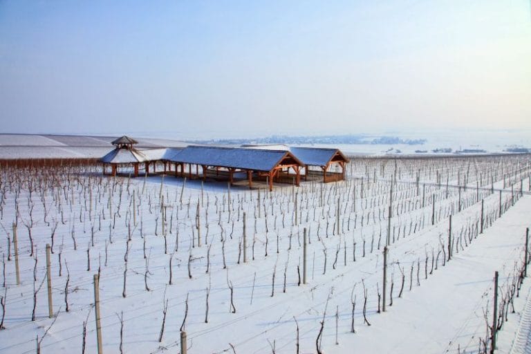 Baranja - savršena ideja za drugačije zimovanje u Hrvatskoj