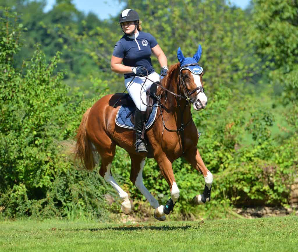 Dina Dijanović - alpinistica s konjima