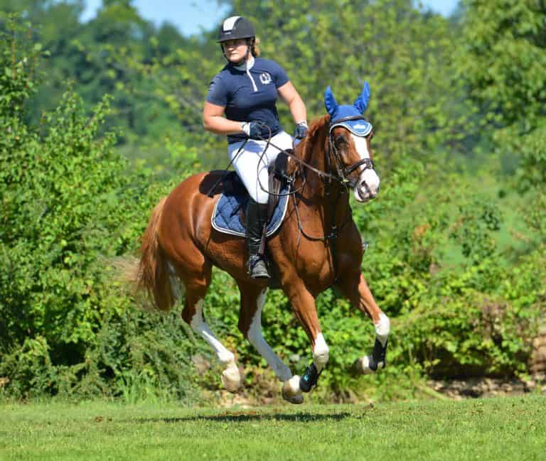 Dina Dijanović - alpinistica s konjima