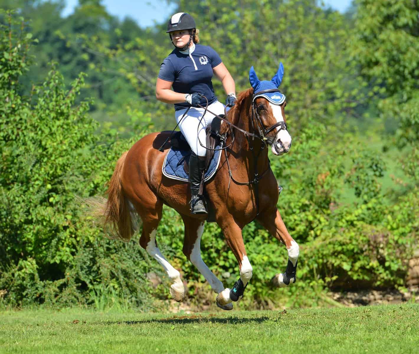 Dina Dijanović - Alpinistin mit Pferden