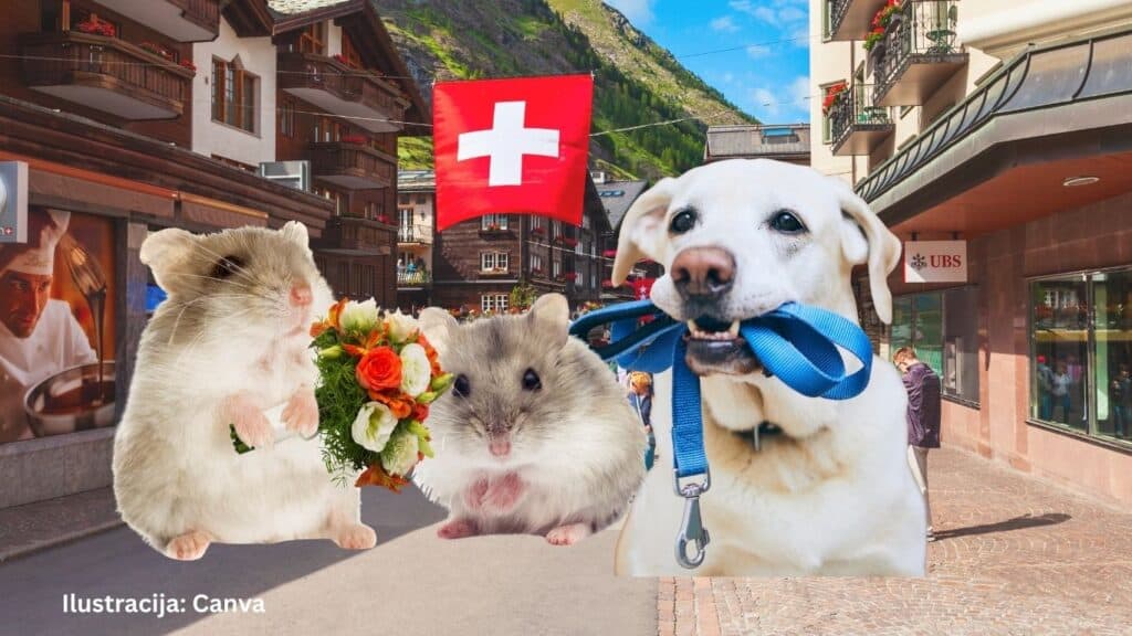 Pravilna socijalizacija i držanje kućnih ljubimaca u Švicarskoj prema zakonu iz 2026.