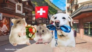 Pravilna socijalizacija i držanje kućnih ljubimaca u Švicarskoj prema zakonu iz 2026.