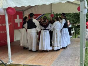 HKK Piknik u Badenu okupio hrvatsku zajednicu: Dan državnosti uz pjesmu, tradiciju i zajedništvo - Img
