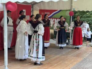 HKK Piknik u Badenu okupio hrvatsku zajednicu: Dan državnosti uz pjesmu, tradiciju i zajedništvo - Img